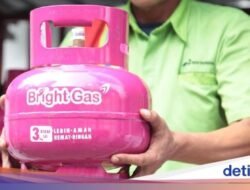 Bos Pertamina Ungkap Viral Peredaran LPG 3 Kg Pink Nonsubsidi