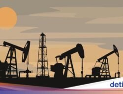 Pertamina Temukan Cadangan Migas Baru Terbesar dalam 15 Tahun