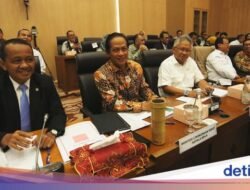Mau Dibuat Rapi atau Biarkan Seperti Adanya?