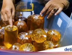 Pedagang Bongkar Strategi Harga Minyak Goreng di Pasar