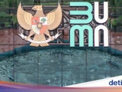 UU BUMN: Pembentukan dan Antar